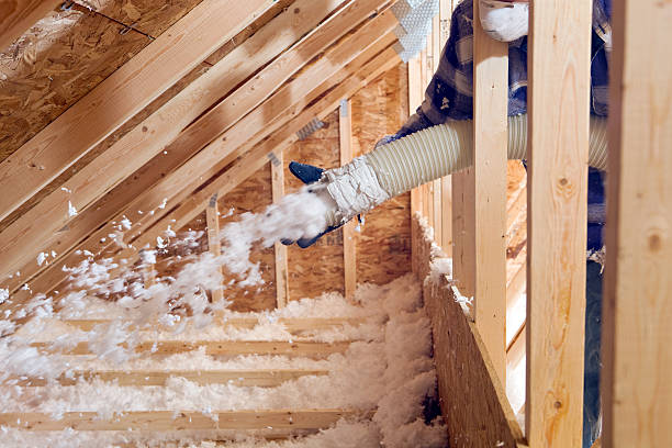 Best Commercial Insulation Services in Westwood Lakes, FL